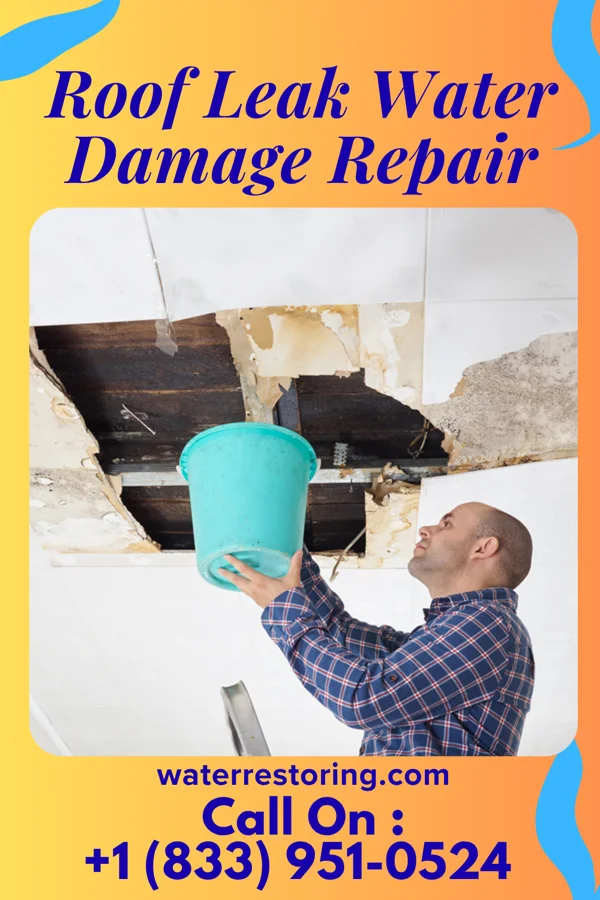 Roof Leak Water Damage Repair in Northport, WA